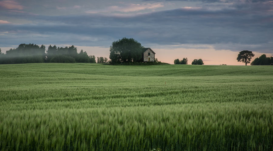 Miljön i fokus